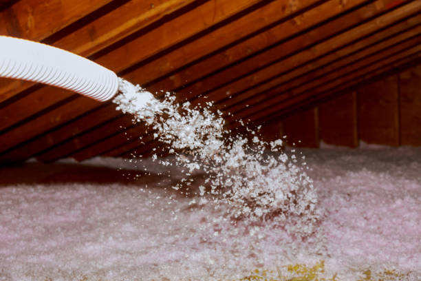 Best Types of Insulation in East Cleveland, TN